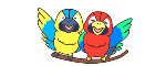 アカラミアイコン